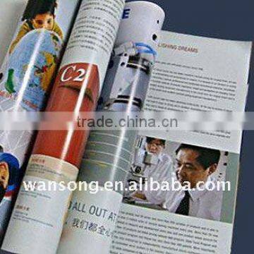 Promotional company brochure & leaflet of good