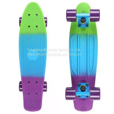 Rainbow Color Complete Mini Cruiser Skateboard Banana Plastic Fish Board