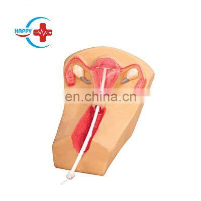 HC-S328 Medical training  Female intrauterine contraception and training model/ IUD Training Model