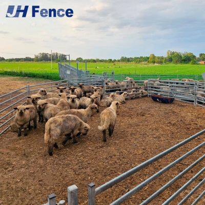 Behavior Management Solid Sheep Panel: Solid Visual Barriers Help Control Flock Movement & Reduce Fighting