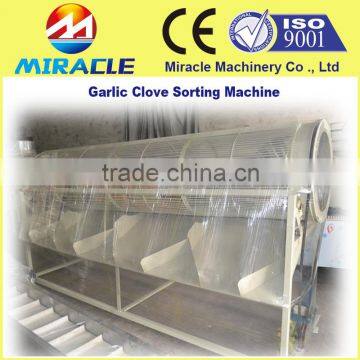 Easy operation rotart type garlic clove sorting and grading machine price
