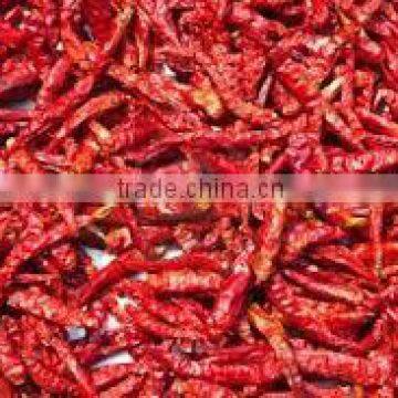 Chillies