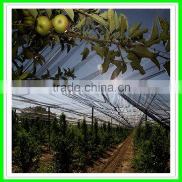 Suntex Anti-hail Net / Windbreak Net / HDPE Agricultural Net photo-3