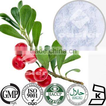 Bearberry Extract Powder