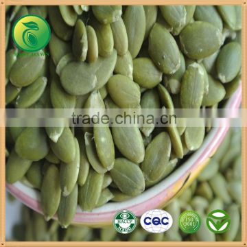 chinese pumpkin seeds kernels