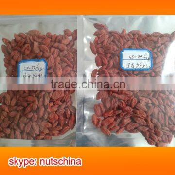 Ningxia Goji Berry photo-4