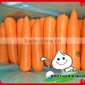 Chinese fresh carrot/Red carrot/China export fresh carrot