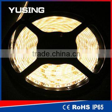 CE ROHS 3 Years Warranty Low Voltage 3528 SMD Multicolor 12 Volt LED Light Strips