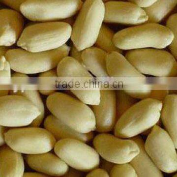 Shandong Blanched Peanut Kernels 25/29 Cheap Factory Price for Sale