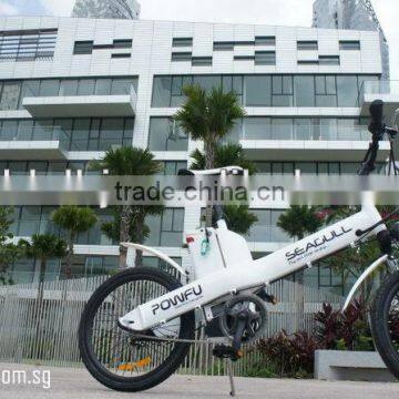 Popular electric bike in Singapore market---Seagull 20''