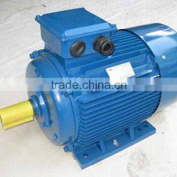 YE2-250M-2 (2 Pole Three Phase High Efficient Asynchronous Industry Motor AC Motor) photo-6