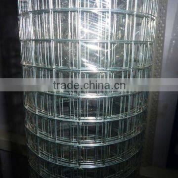 Hot Dipped Galvanized Aviary Mesh/Welded wire mesh