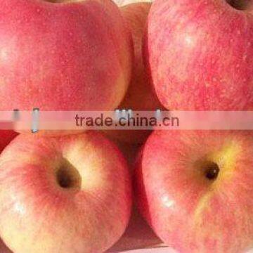 Crop apple