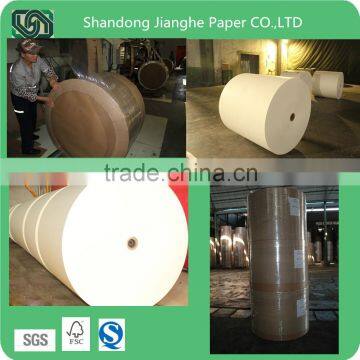 foodgrade pe coated paper for paper cup/lunch box