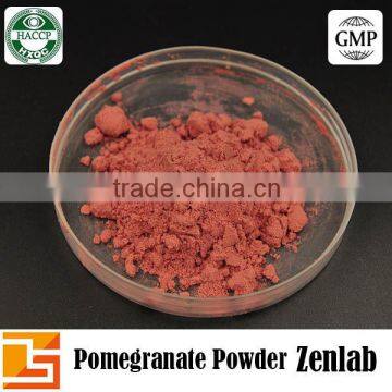 100% Water Soluble Natural Beverage Pomegranate Juice Powder