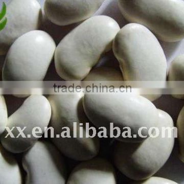 2011 new crop white kidney bean market price