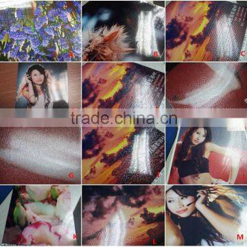 650mm/24inch FLM-A Spot UV Coating Machine photo-6