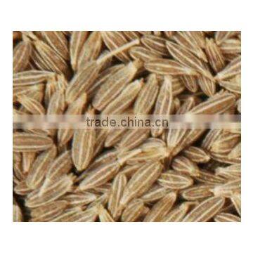 Organic Cumin Seed