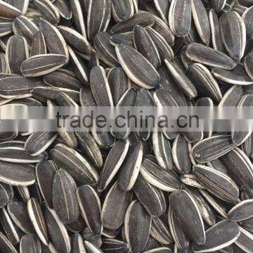 Black Sunflower Seeds 5009