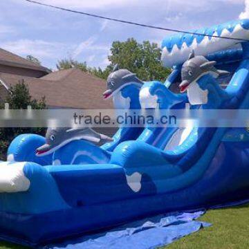 Hola Giant Dolphin Inlfatable Water Slide for Sale photo-2