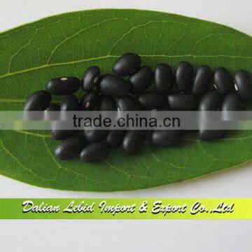 Hot Selling Black Kidney beans, Black Beans, Chinese Beans