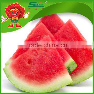 Cryogenic Transportation Wholesale Watermelon Fresh Watermelon on Sale photo-4