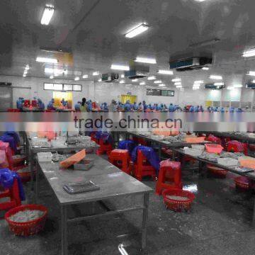 Frozen Vannamei White Shrim photo-3