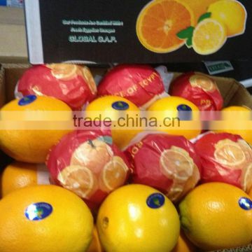 Farm Egyptian orange for sale