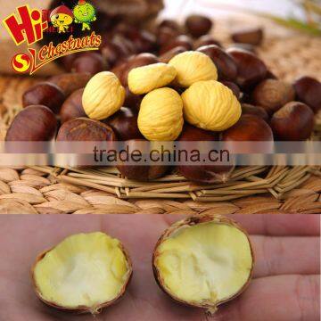 Eating Sweet Fresh Chinese dried peeled chestnuts for sale