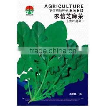 High Quality Roquette Rocula Eruca sativa Rocket Pakchoi Seeds For Growing