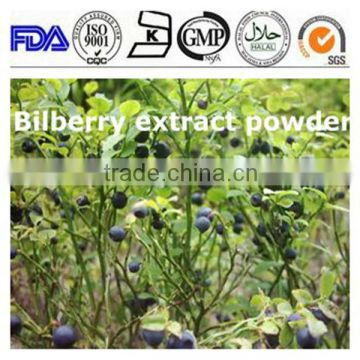 ISO 13 years factory Vaccinium Vitis Idaea Bilberry extract