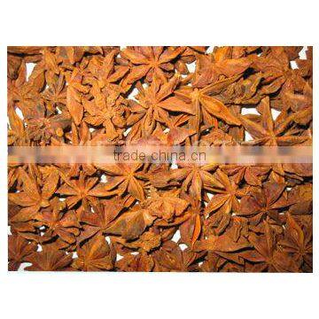Vietnam Star Aniseed