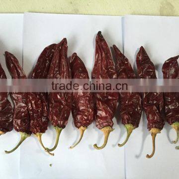 Chinese ISO , HACCP, HALAL Certificates High Purity Water Washed Paprika For Mexico Market photo-3