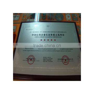 China Credit Example Certificate