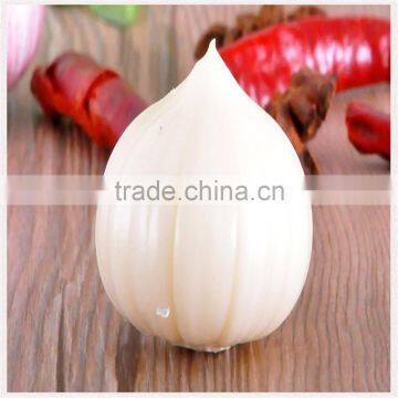 Wholesale Fresh White Garlic for Export photo-4