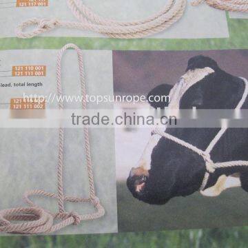 Halters With Lead Horse Saddlery