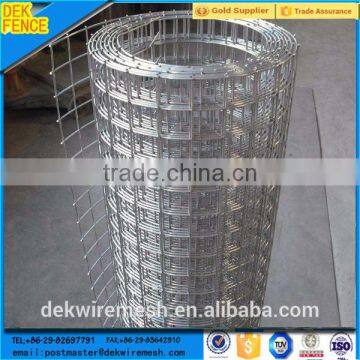 Hot sale 2X2 Galvanized rebar Welded Wire Mesh