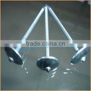 Top Quality Umbrella Head Thread Roofing Nail Trusted Chuanghe Suppliers From Com photo-5