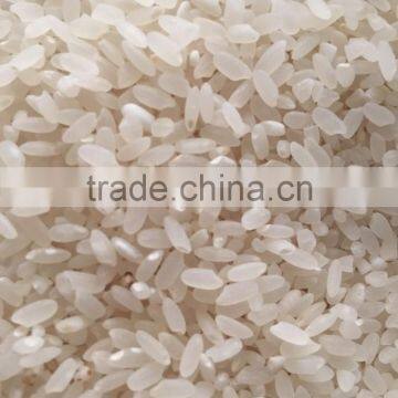 Grain Polisher photo-4