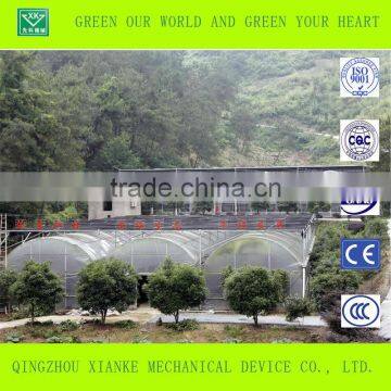 Multi-Span Commercial Agricultural Greenhouse Sales photo-3
