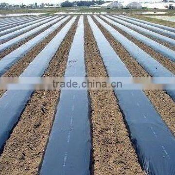 biodegradable agricultural film