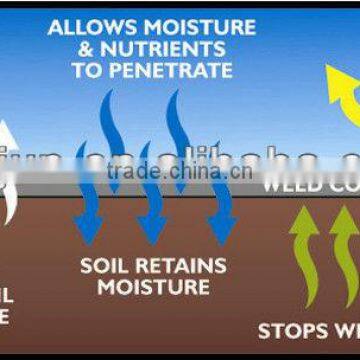 PP Nonwoven Fabric Polyethylene Fabric Non Woven photo-5