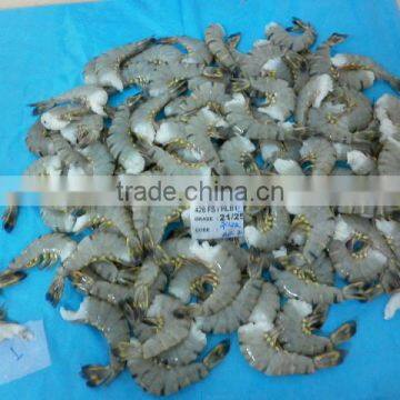 Frozen HLSO Black Tiger Shrimps photo-2
