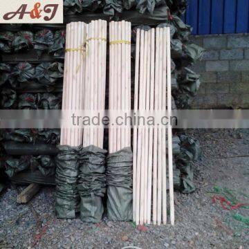 Top Supplier Round Wood Poles for Brooms and Mops photo-3