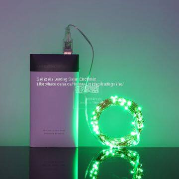 USB 5 Meter 50 Lights 10 Meter 100 Lights Colorful Munti Color Choosing Customized Copper String Fairy Firefly Light photo-4