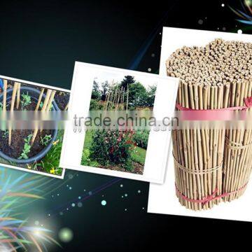 raw bamboo gardening sticks poles canes 6~10mm ,60cm~150cm