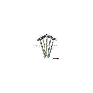 Roofing Nail