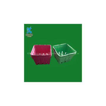 Environmental biodegradable paper pulp mold fruit packaging tray