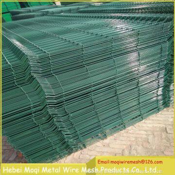 PVC Powder Coated Triangle Bend 3D Welded Wire Mesh Fence Sale photo-5