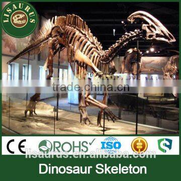 JLDF-G-0005 Dinosaur Fossil Dig Kit For Children Games